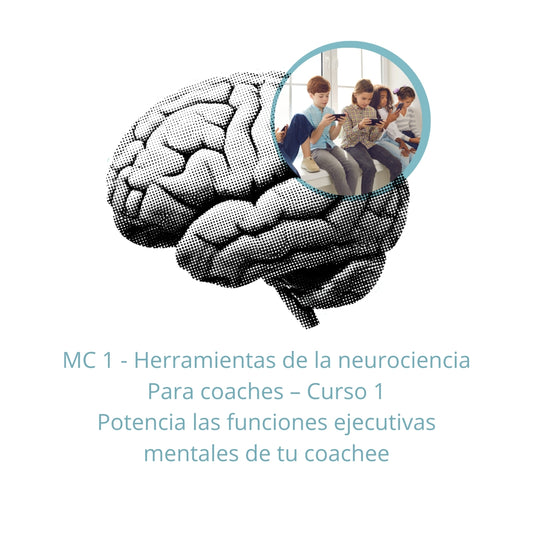 Micro Certificaciones