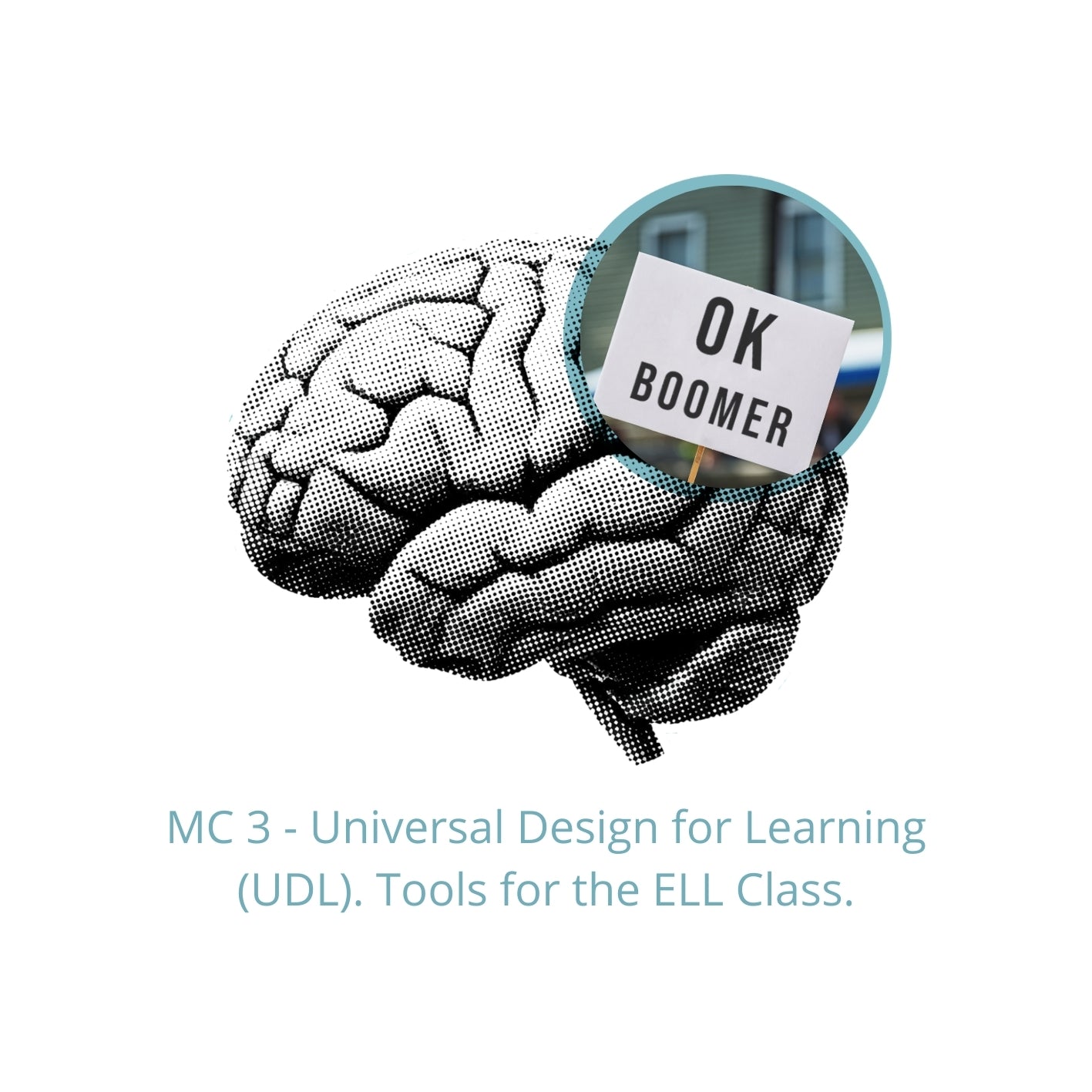 Micro Certificaciones