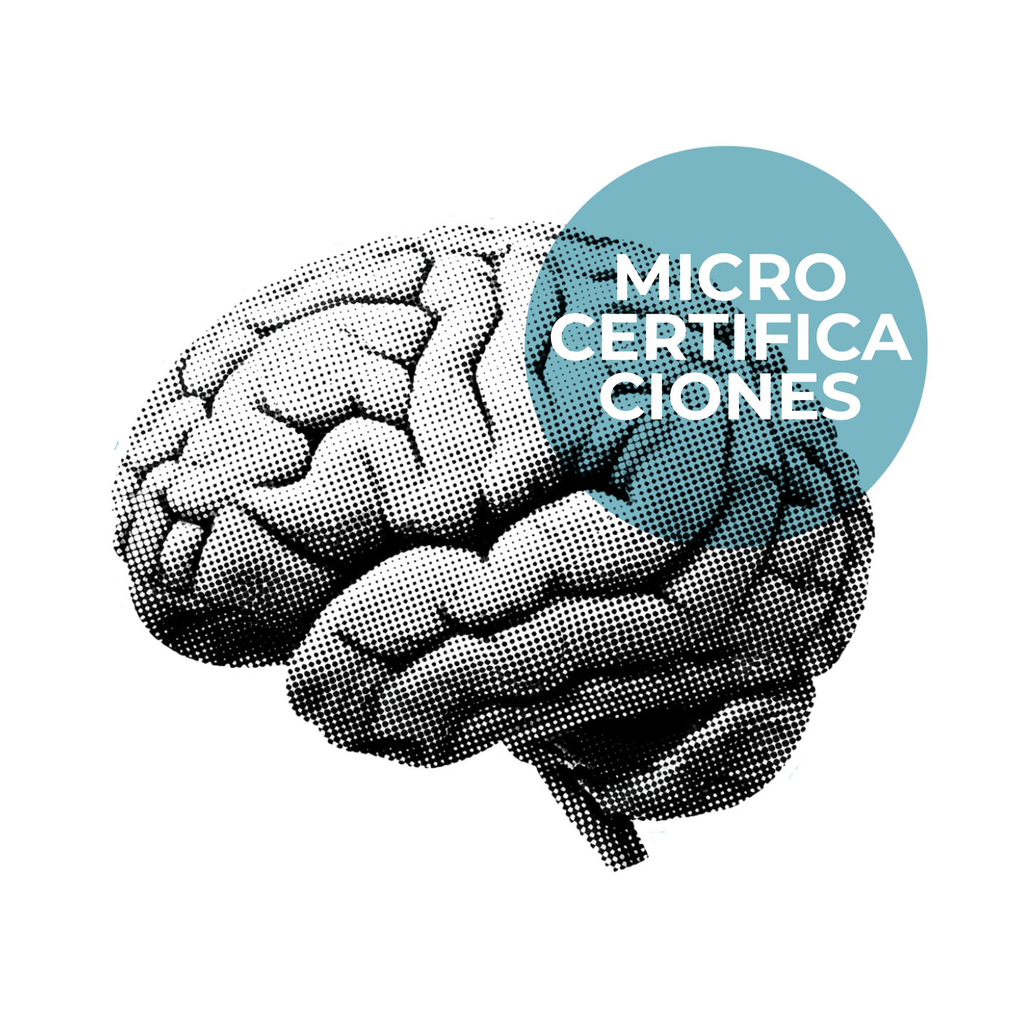 Micro Certificaciones