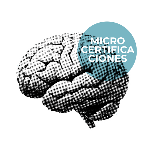 Micro Certificaciones